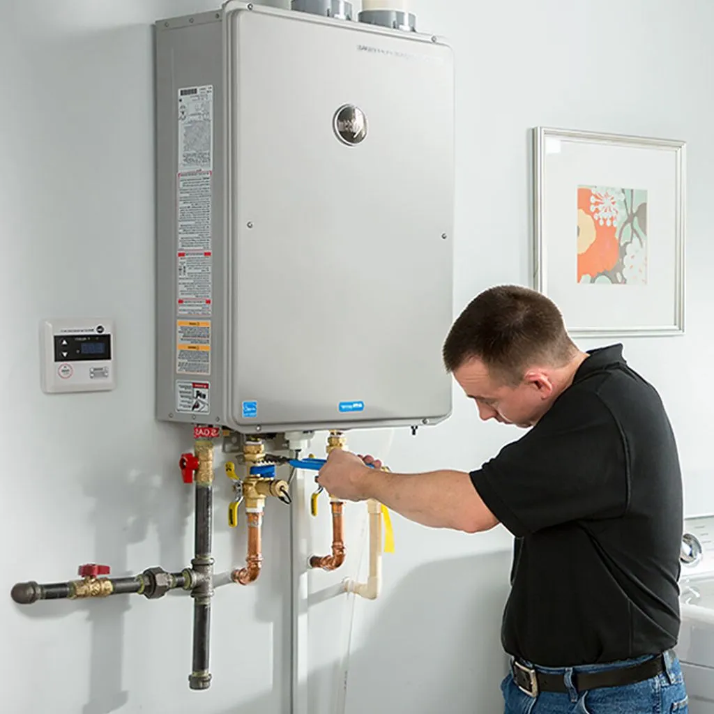 tankless water heater repair in Nanticoke, MD